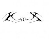 los's Avatar