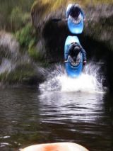nzshred's Avatar
