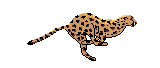 Jonass's Avatar