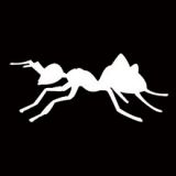 teamscum's Avatar